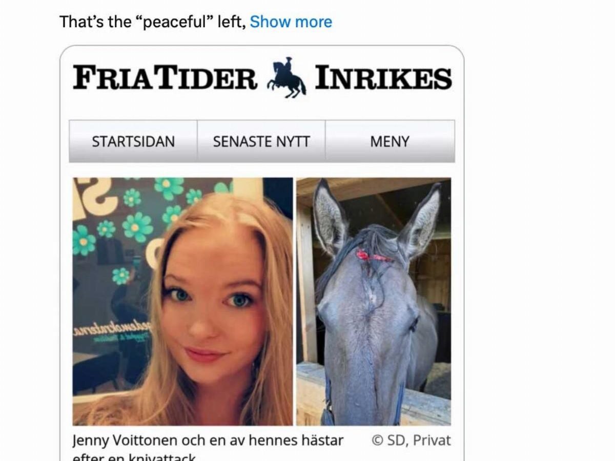 Sweden's Deportation Experiment: Shootings Fell 80% After Migrant Gangsters Were Sent Home