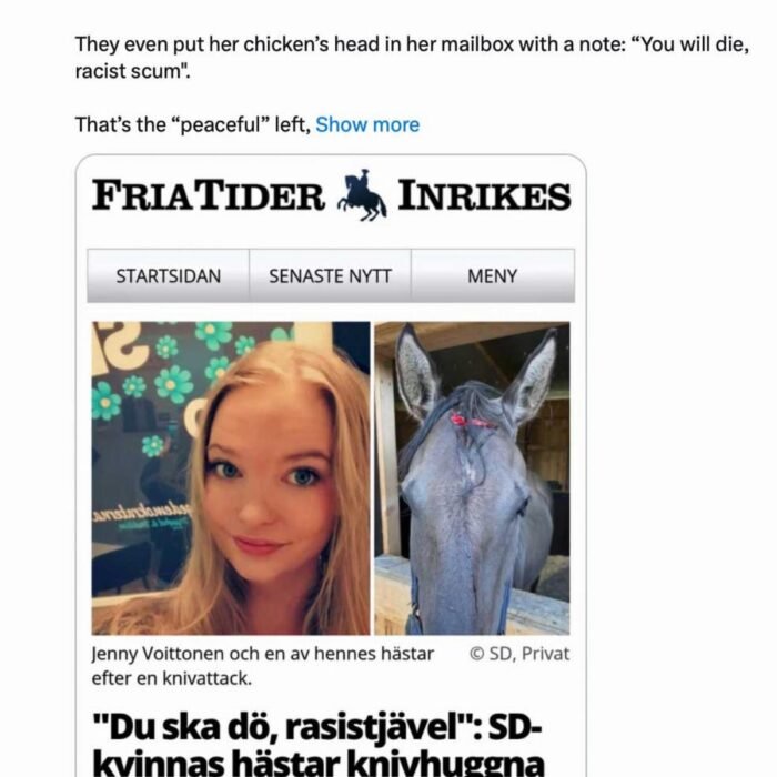 Sweden's Deportation Experiment: Shootings Fell 80% After Migrant Gangsters Were Sent Home