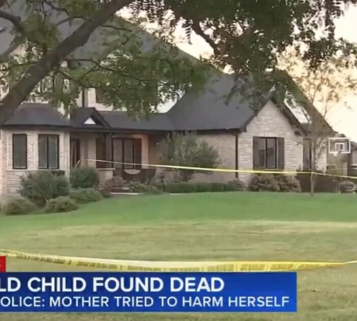 Illinois Mother Charged with Murder After 2-Year-Old Found Hanging in Basement