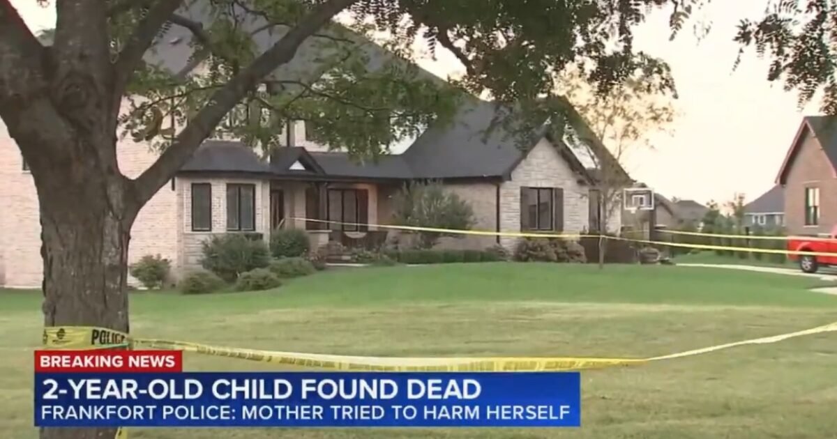 Illinois Mother Charged with Murder After 2-Year-Old Found Hanging in Basement