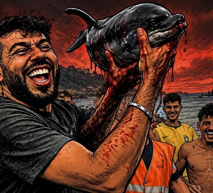 Ceuta migrants allegedly club baby dolphin to death as environmentalists seek charges