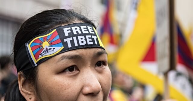 Pro-Tibetan Protesters Clash With Pro-Beijing Counter-Demonstrators During Xi Jinping's Washington Visit