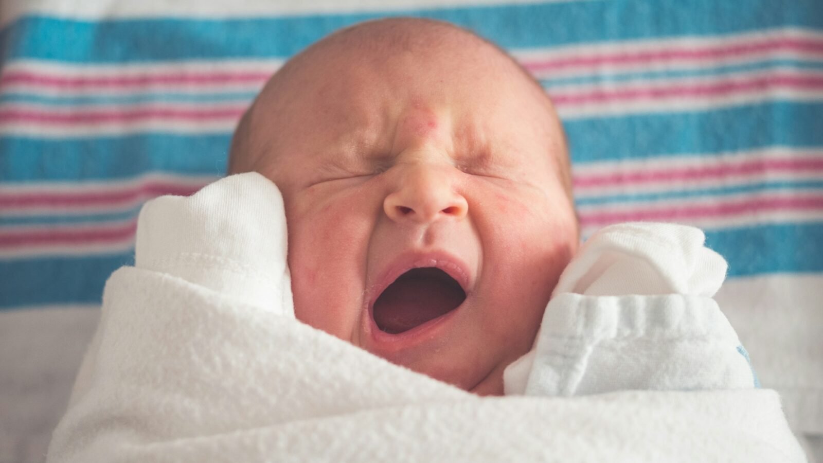 Federalist Column Calls New York Magazine Sex Diary a Case Against Gay Parenting