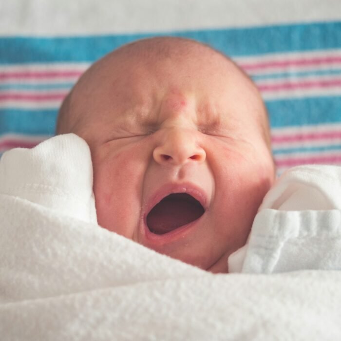 Federalist Column Calls New York Magazine Sex Diary a Case Against Gay Parenting