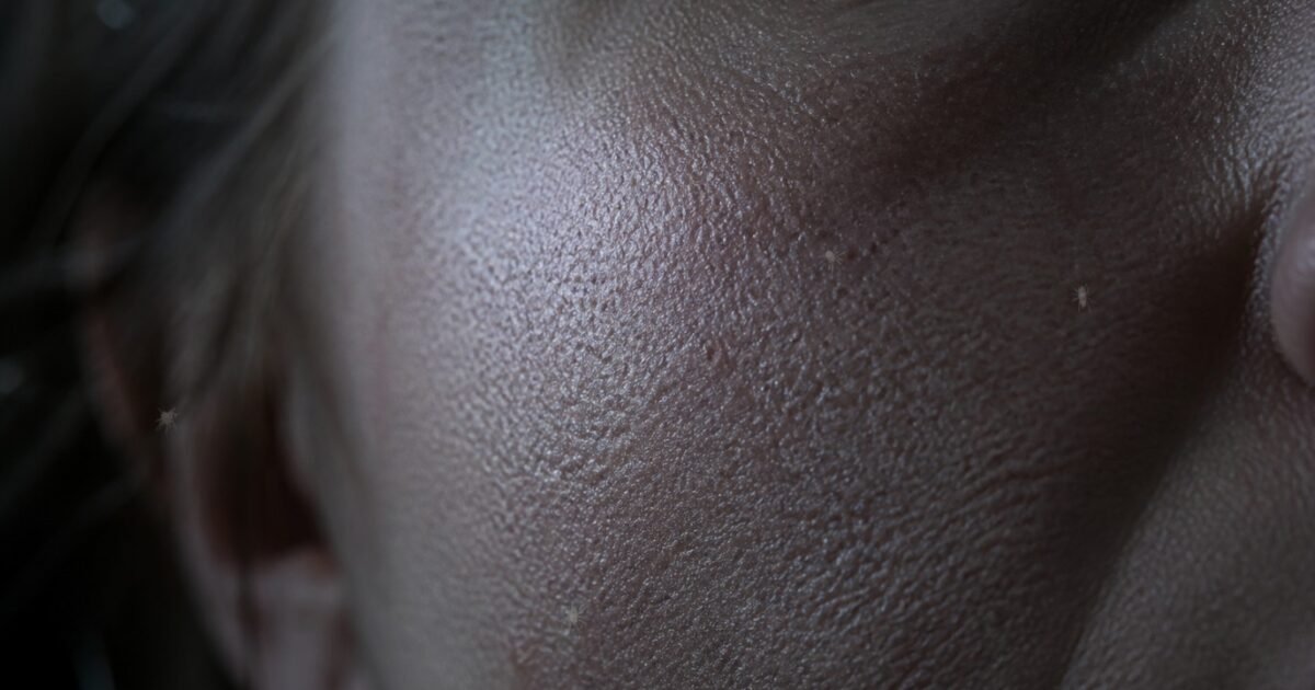 Gateway Pundit Promoted Post Claims Microscopic Face Mites Emerge at Night