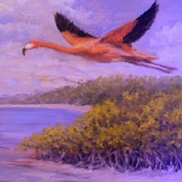 A Hot-Air Balloon, a Hurricane, and the Flamingos That Flew to Freedom