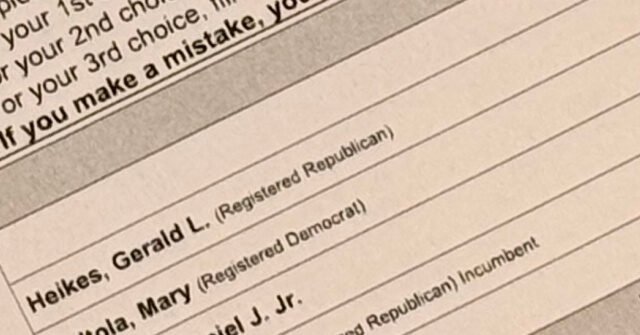 Alaska Democratic Chair Defends Ballot Strategy: Officials Should 'Use Every Tool They've Got'