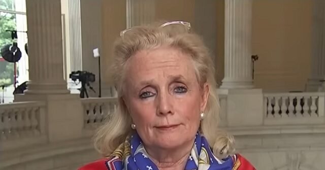Dingell Accuses Trump of Putting 'Targets on People's Backs' After Jihadist Attack on El-Sayed