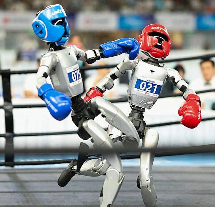 California Orders Startup to Stop Staging Man-vs-Robot Cage Fights