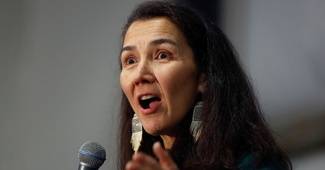 42 Democrats Stay Silent on Alaska 'Decoy Candidate' Allegations Despite 'Democracy' Rhetoric