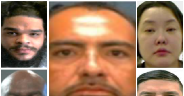 ICE Arrests Child Sex Offenders, Burglars and Drug Traffickers as DHS Chief Vows to 'Hunt You Down'