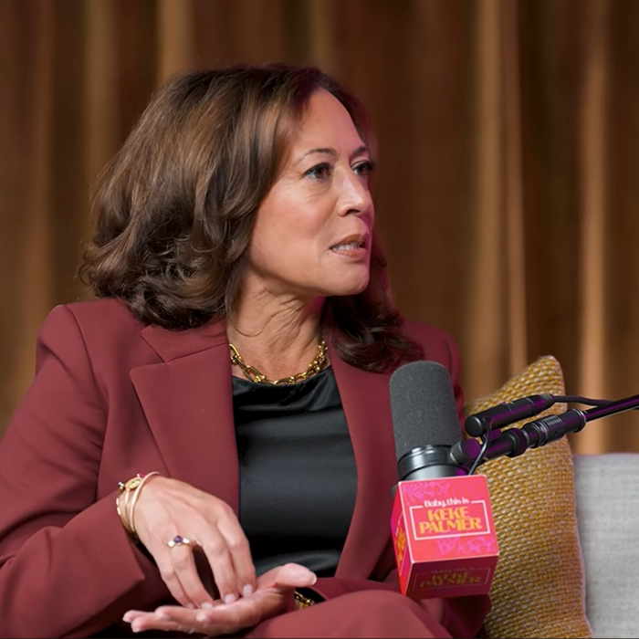 Kamala Harris Calls for Expanding the Supreme Court in Podcast Interview
